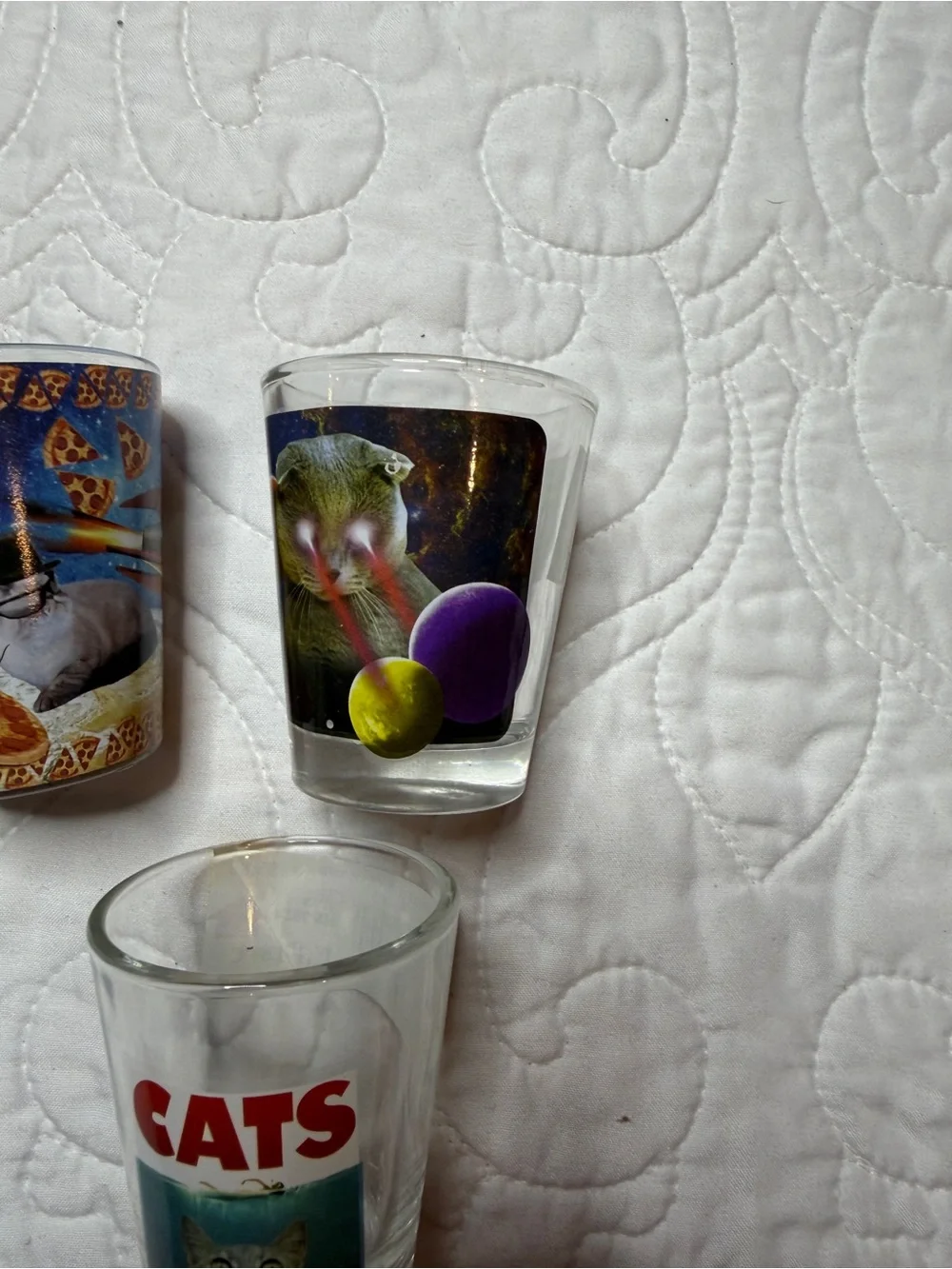 Funny Cat Shot Glass Collection Set of 3